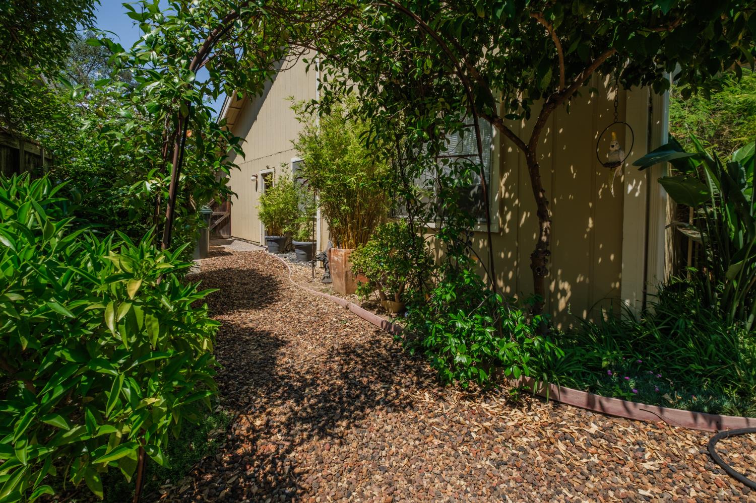 Detail Gallery Image 59 of 63 For 5148 Walnut Place Ln, Carmichael,  CA 95608 - 3 Beds | 2 Baths