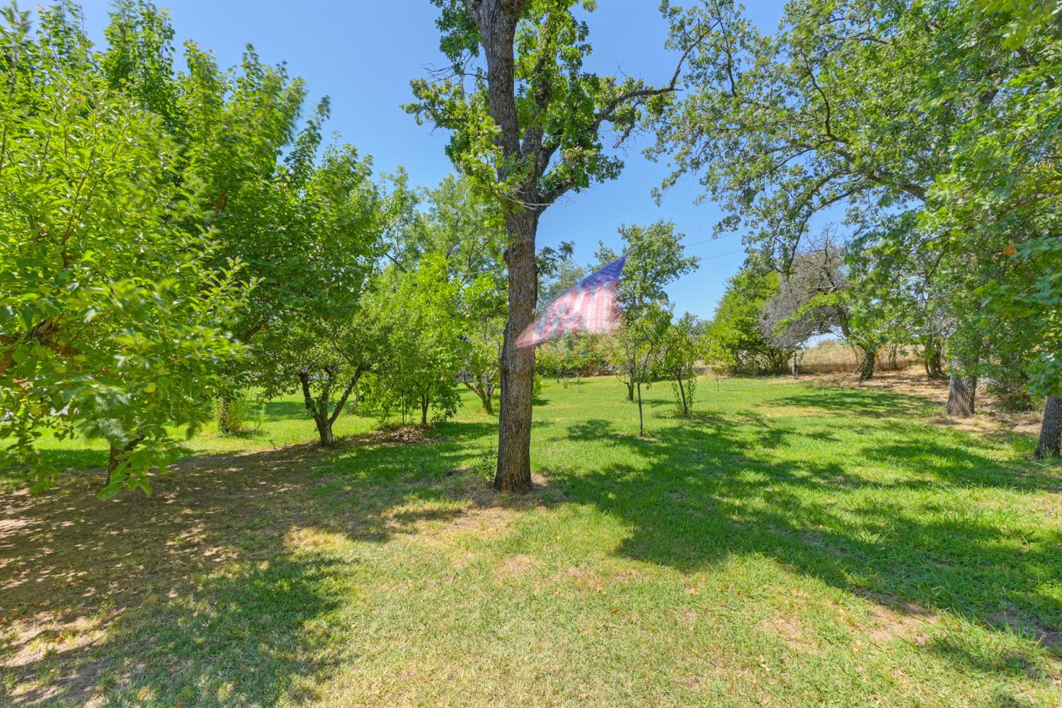 Detail Gallery Image 61 of 99 For 1653 Gold Rush Way, Penryn,  CA 95663 - 3 Beds | 2/1 Baths