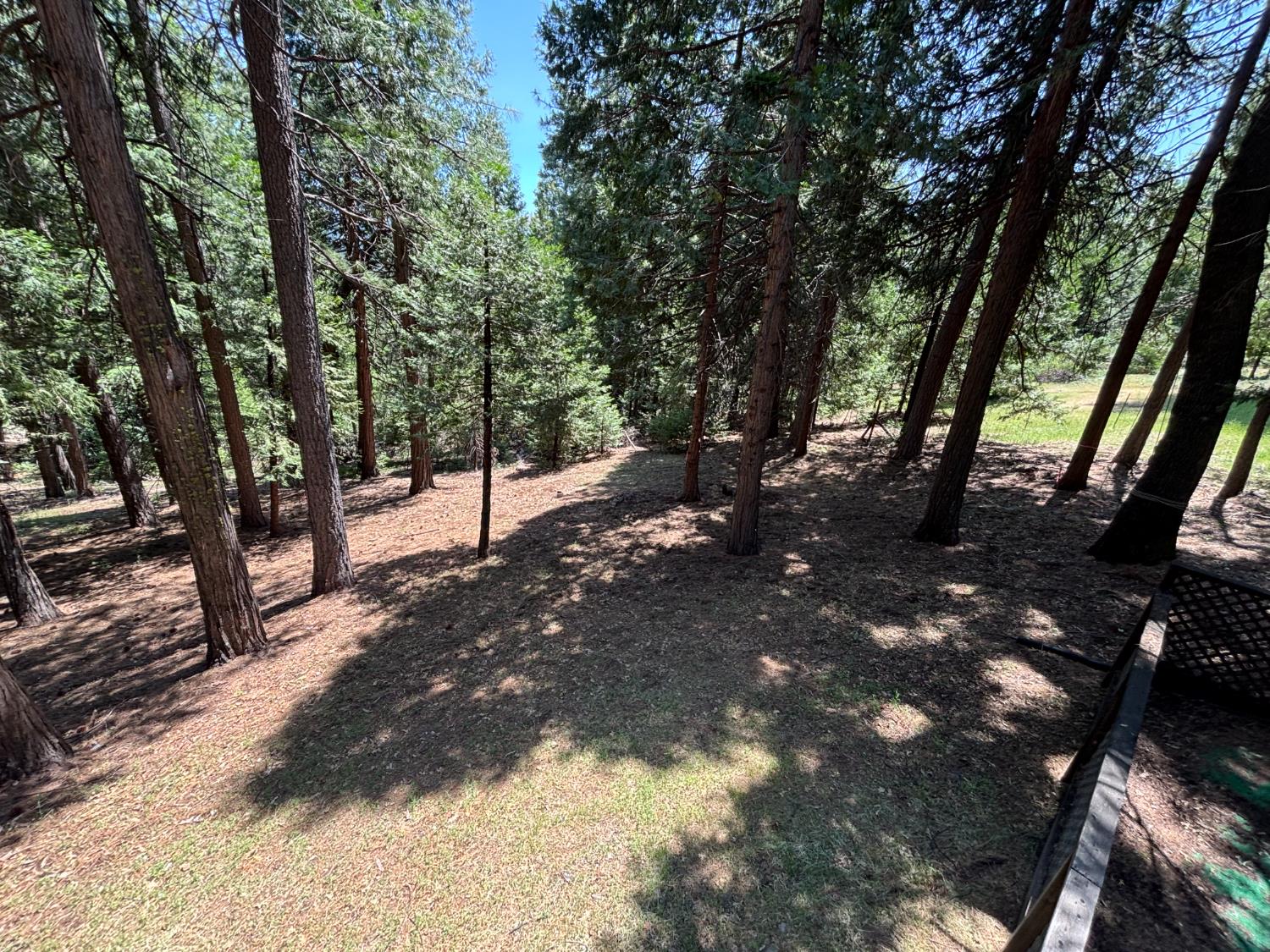 Detail Gallery Image 9 of 33 For 6730 Diamond Dr, Pollock Pines,  CA 95726 - 3 Beds | 2 Baths
