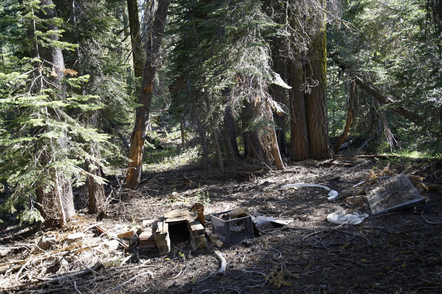 Detail Gallery Image 24 of 30 For 0 Forest 41 Rd, Soda Springs,  CA 95728 - – Beds | – Baths