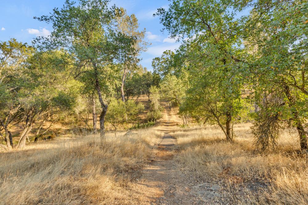 Detail Gallery Image 17 of 29 For 2660 Sleepy Hollow Dr, Shingle Springs,  CA 95682 - – Beds | – Baths