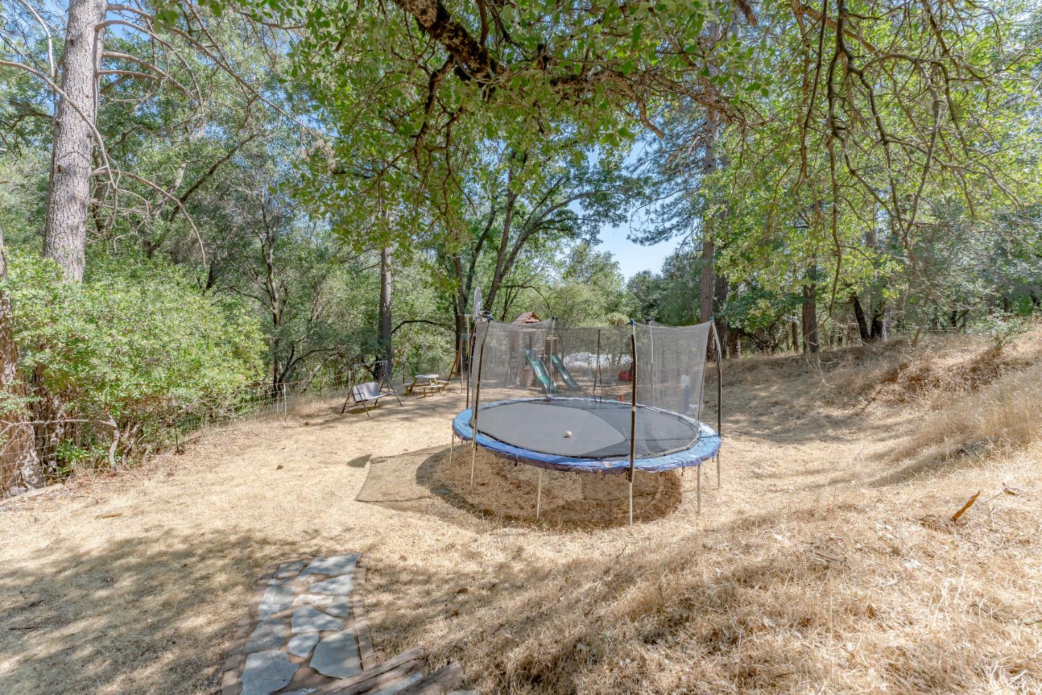 Detail Gallery Image 64 of 68 For 3980 Donner Trl, Placerville,  CA 95667 - 3 Beds | 2 Baths