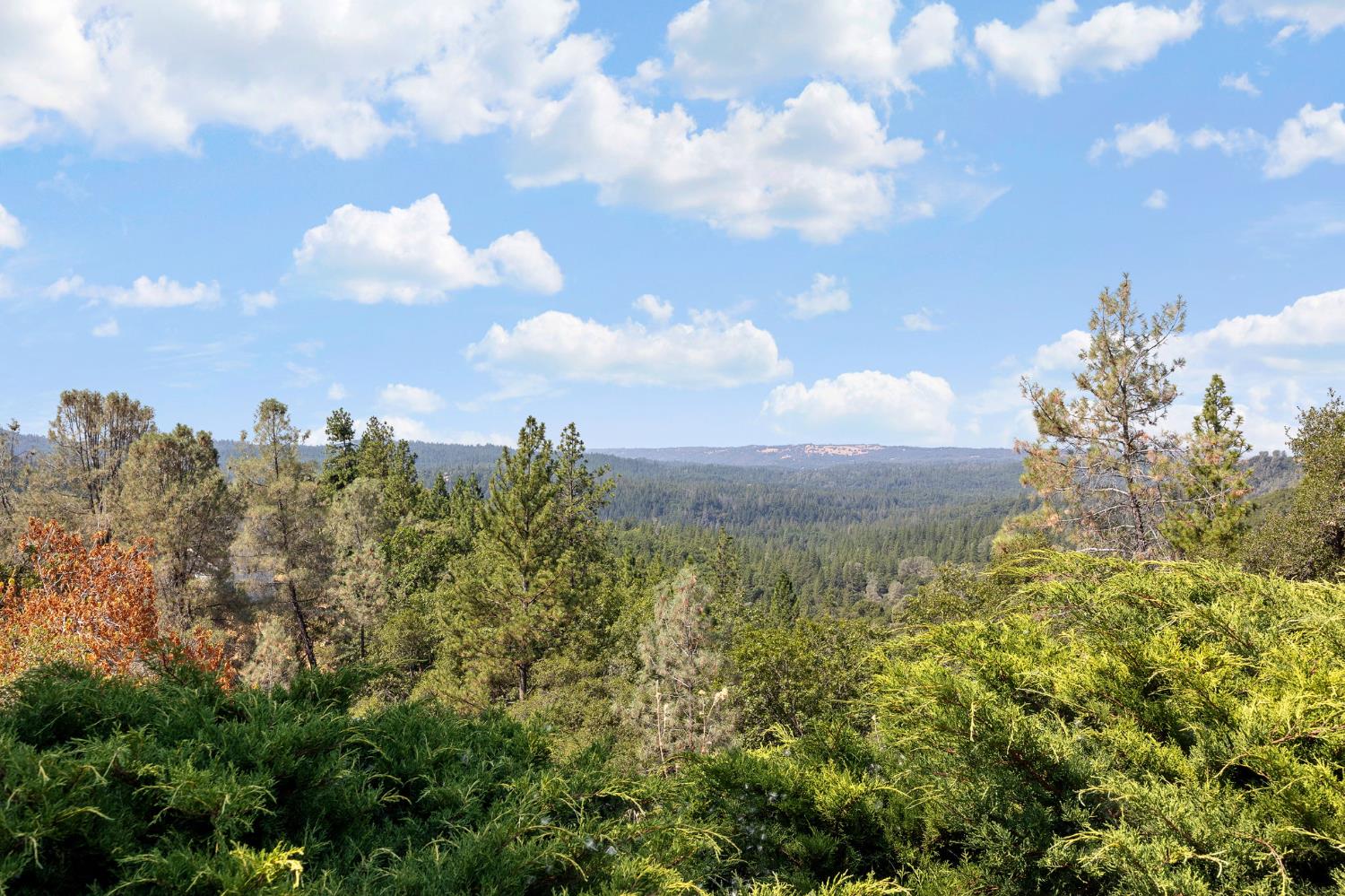 Detail Gallery Image 56 of 58 For 2970 Texas Hill Rd, Placerville,  CA 95667 - 2 Beds | 2 Baths