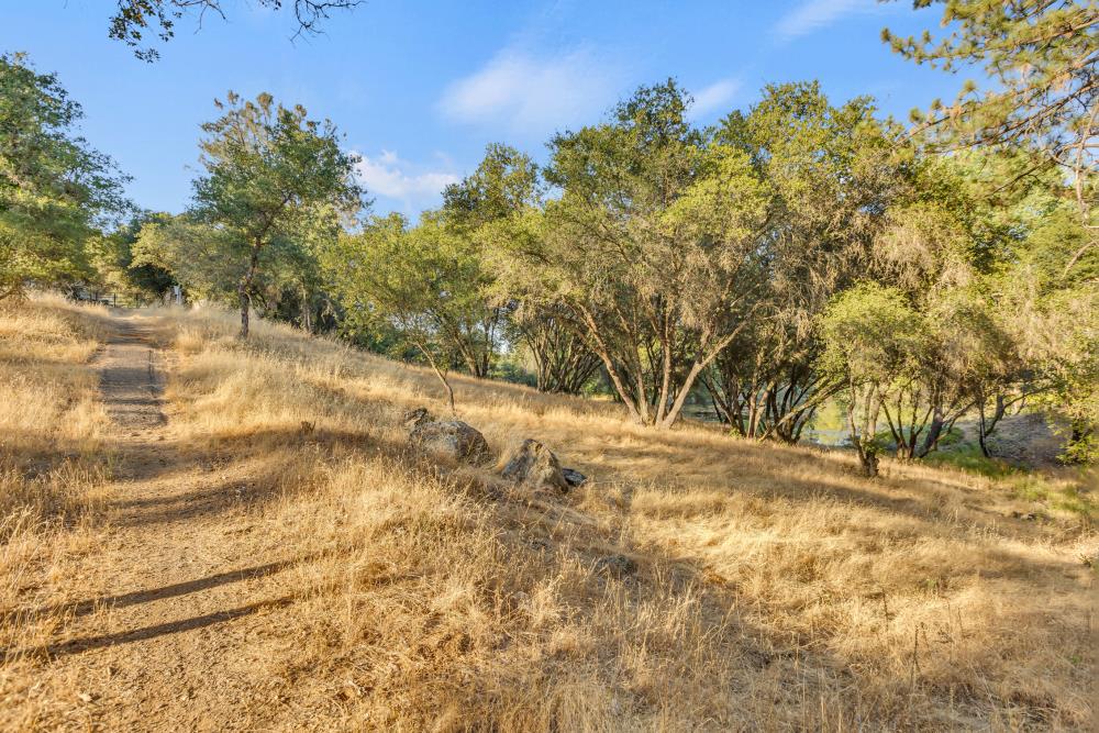 Detail Gallery Image 18 of 29 For 2660 Sleepy Hollow Dr, Shingle Springs,  CA 95682 - – Beds | – Baths