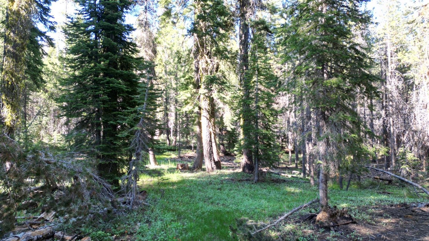 Detail Gallery Image 28 of 30 For 0 Forest 41 Rd, Soda Springs,  CA 95728 - – Beds | – Baths