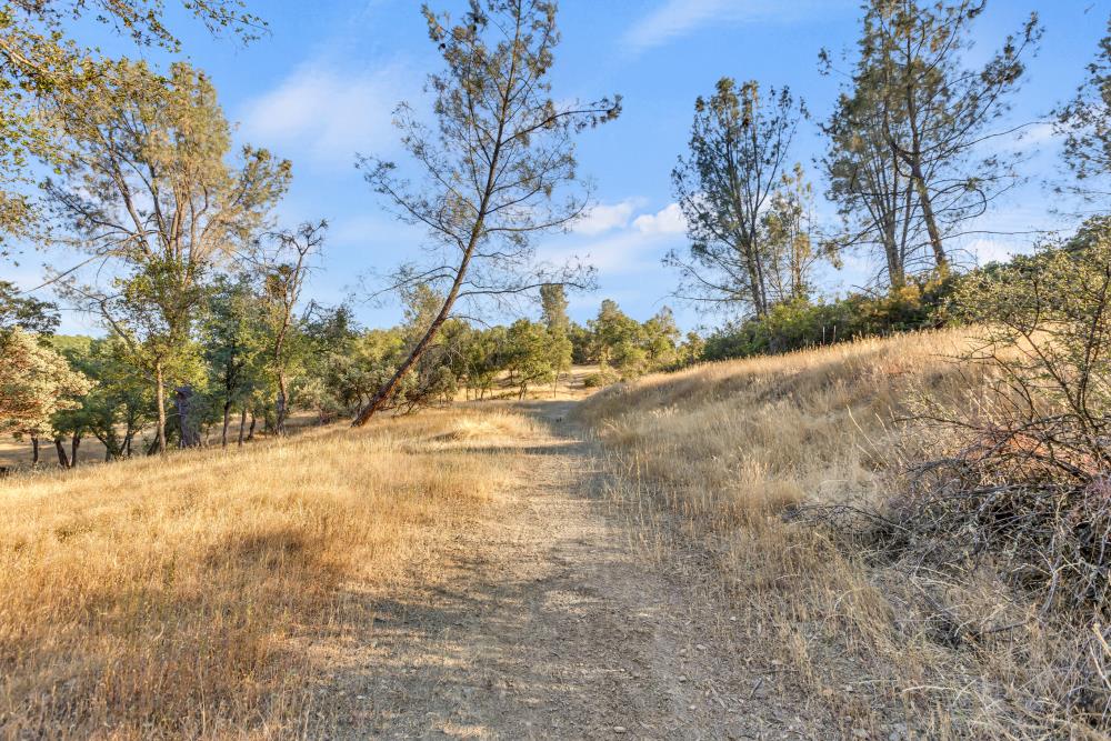 Detail Gallery Image 21 of 29 For 2660 Sleepy Hollow Dr, Shingle Springs,  CA 95682 - – Beds | – Baths