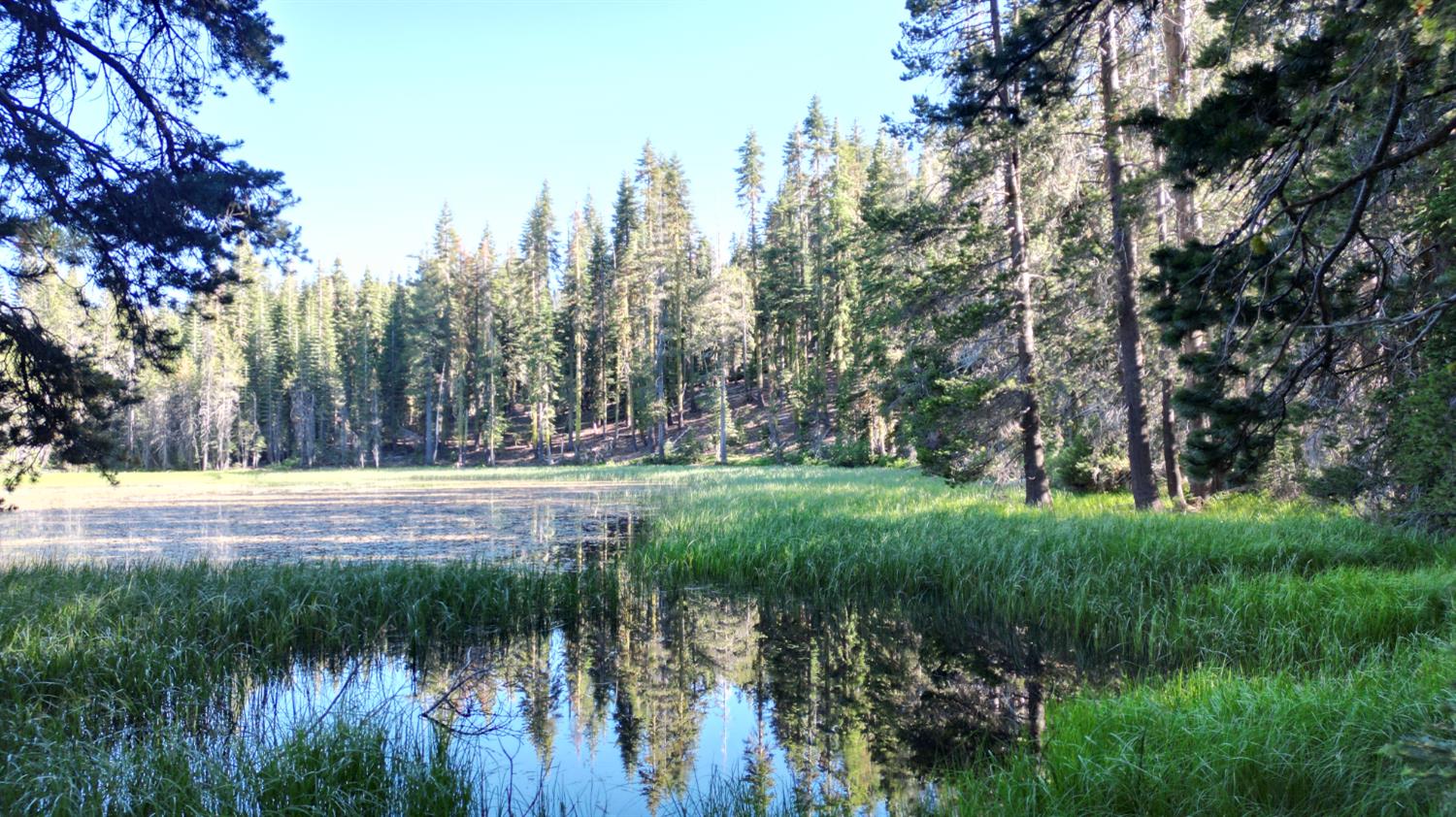 Detail Gallery Image 1 of 30 For 0 Forest 41 Rd, Soda Springs,  CA 95728 - – Beds | – Baths