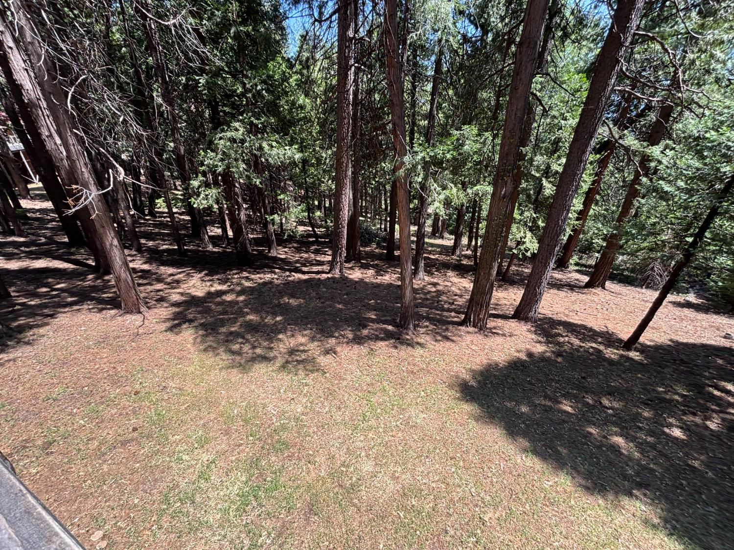 Detail Gallery Image 8 of 33 For 6730 Diamond Dr, Pollock Pines,  CA 95726 - 3 Beds | 2 Baths