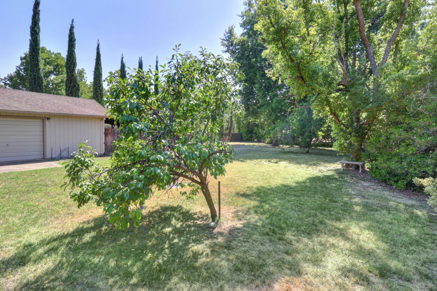 Detail Gallery Image 56 of 95 For 7919 Wonder St, Citrus Heights,  CA 95610 - 4 Beds | 2/1 Baths