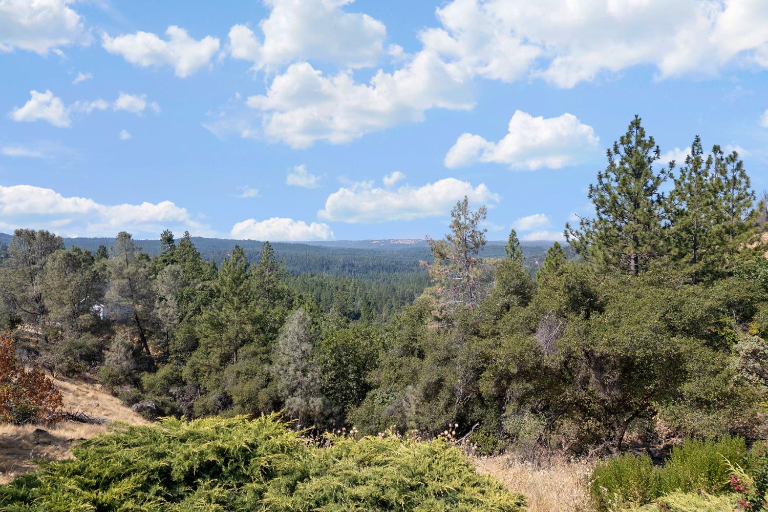 Detail Gallery Image 53 of 58 For 2970 Texas Hill Rd, Placerville,  CA 95667 - 2 Beds | 2 Baths