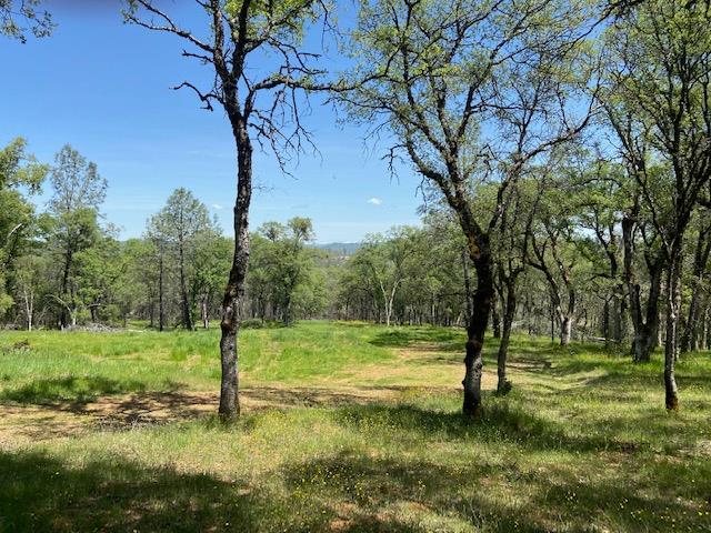 Detail Gallery Image 3 of 6 For 11560 Still Rd, Grass Valley,  CA 95949 - – Beds | – Baths