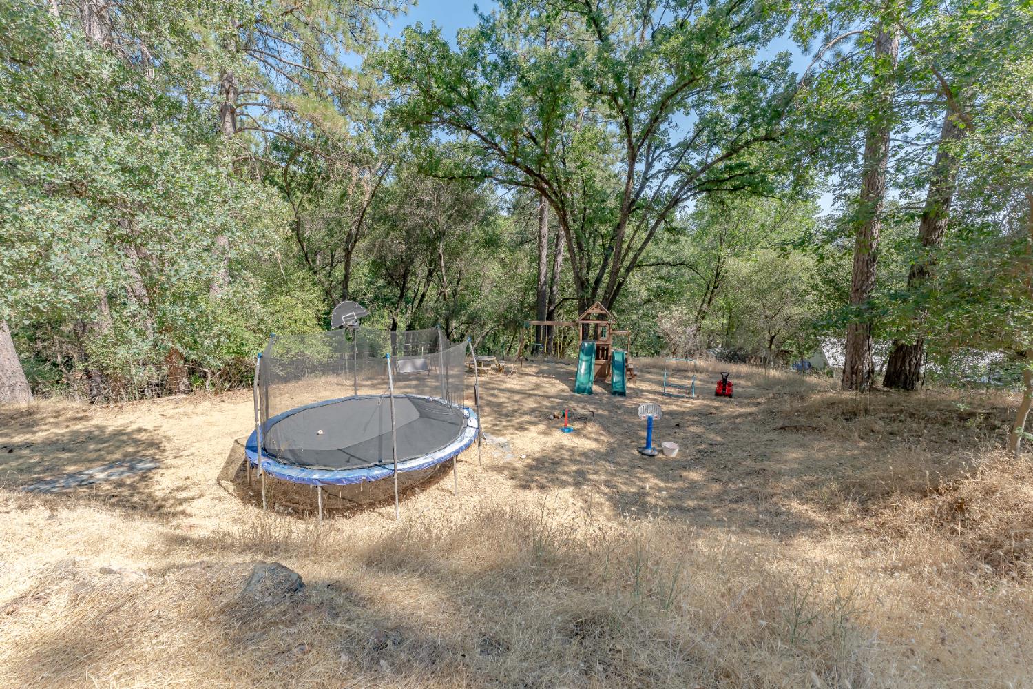 Detail Gallery Image 63 of 68 For 3980 Donner Trl, Placerville,  CA 95667 - 3 Beds | 2 Baths