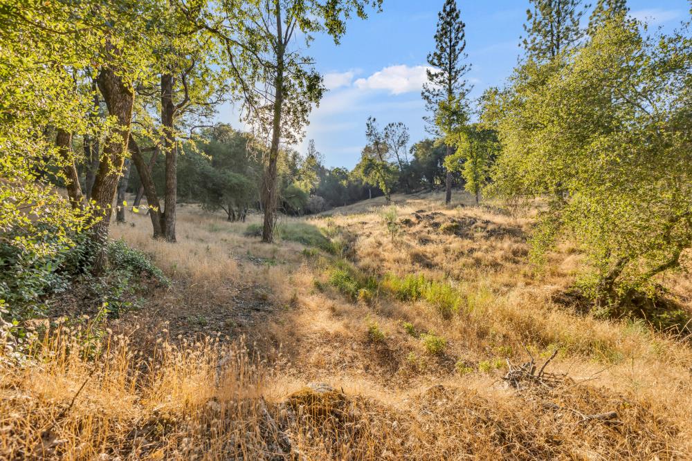 Detail Gallery Image 22 of 29 For 2660 Sleepy Hollow Dr, Shingle Springs,  CA 95682 - – Beds | – Baths
