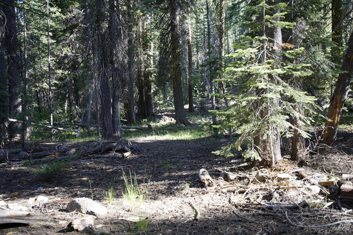Detail Gallery Image 23 of 30 For 0 Forest 41 Rd, Soda Springs,  CA 95728 - – Beds | – Baths