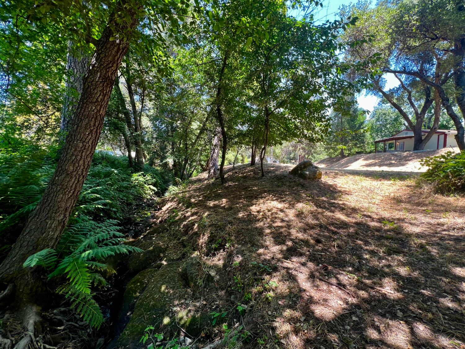 Detail Gallery Image 60 of 64 For 2018 Whistler Way, Somerset,  CA 95684 - 3 Beds | 2 Baths
