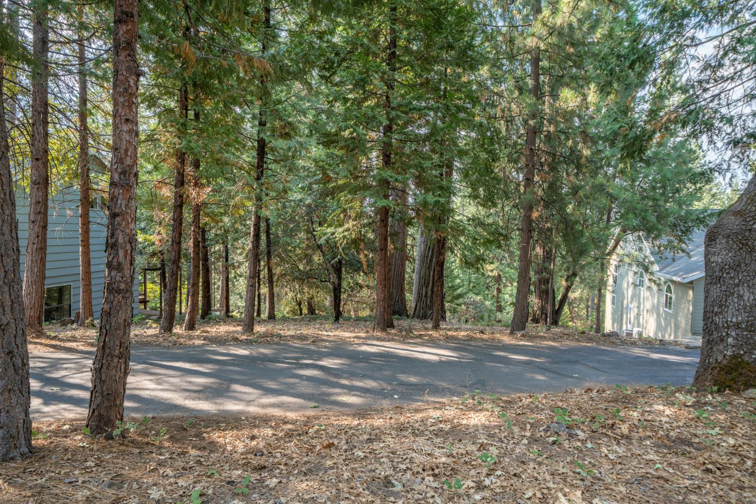 Detail Gallery Image 4 of 17 For 51 Canterwood Ln, Murphys,  CA 95247 - – Beds | – Baths