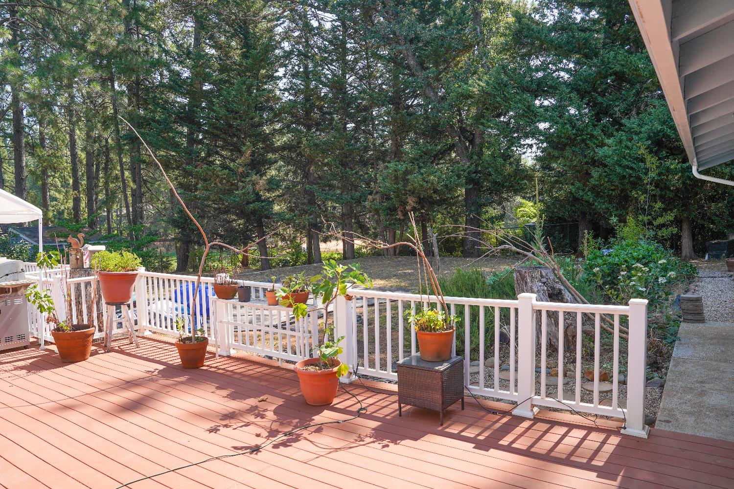 Detail Gallery Image 42 of 78 For 16939 Norlene Way, Grass Valley,  CA 95949 - 3 Beds | 2/1 Baths