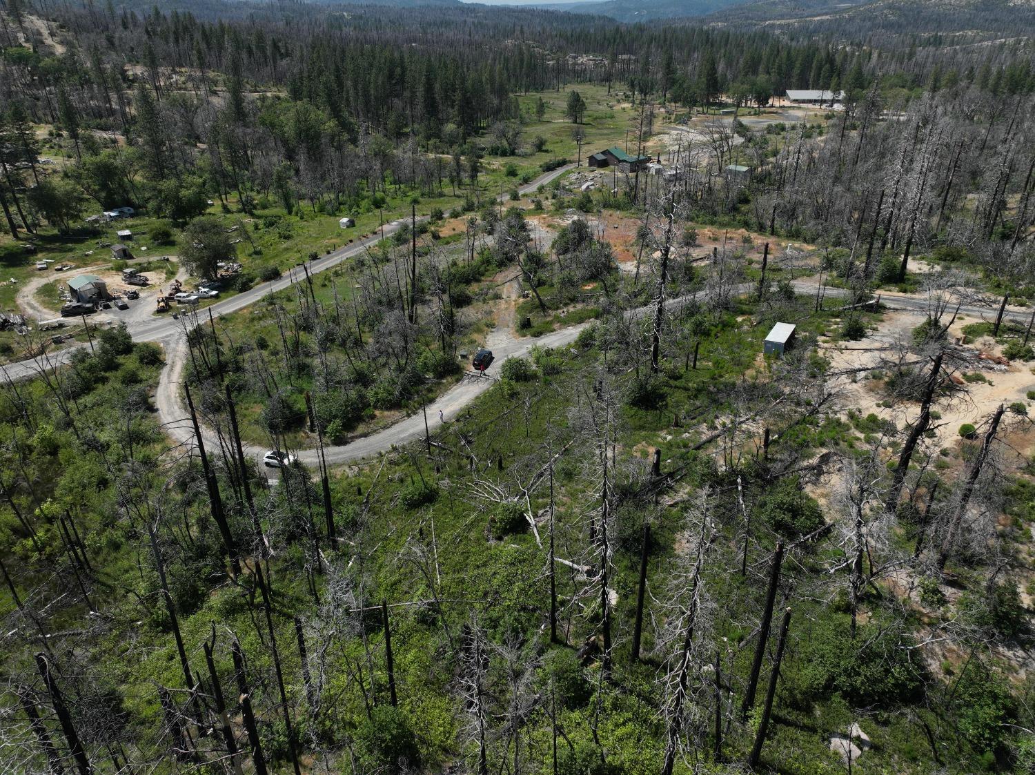 Detail Gallery Image 4 of 6 For 15 Squirrel, Berry Creek,  CA 95916 - – Beds | – Baths
