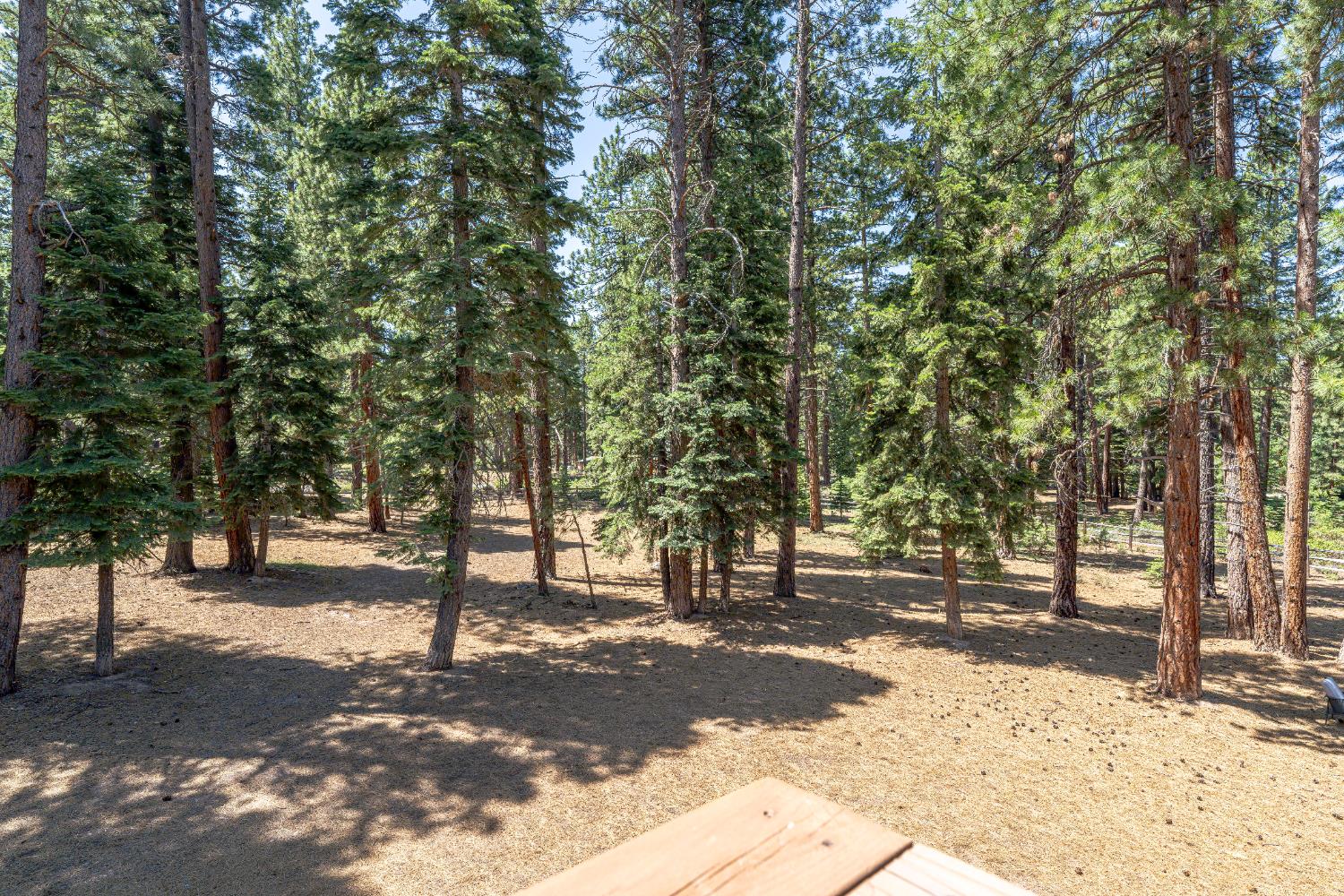 Detail Gallery Image 44 of 47 For 10854 Royal Crest Dr, Truckee,  CA 96161 - 2 Beds | 1/1 Baths