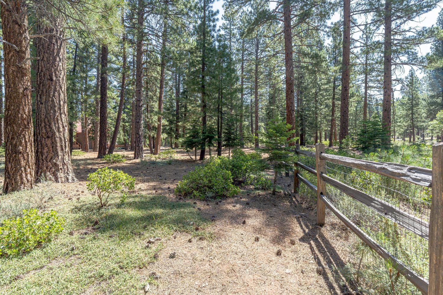 Detail Gallery Image 9 of 47 For 10854 Royal Crest Dr, Truckee,  CA 96161 - 2 Beds | 1/1 Baths