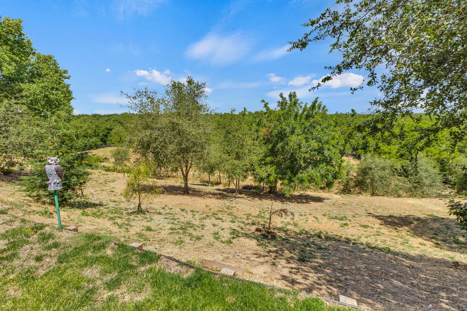Detail Gallery Image 91 of 98 For 14537 Mira Vista Ln, Lockeford,  CA 95237 - 7 Beds | 4/1 Baths