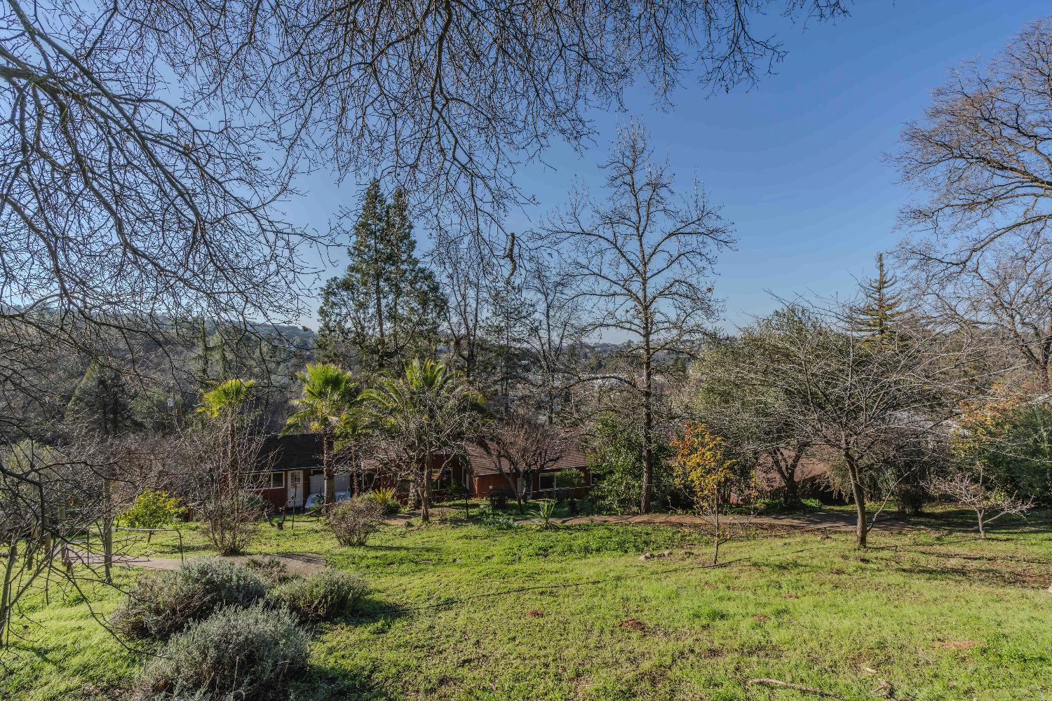 Detail Gallery Image 32 of 40 For 40 Greenstone Ter, Sutter Creek,  CA 95685 - 3 Beds | 2/1 Baths