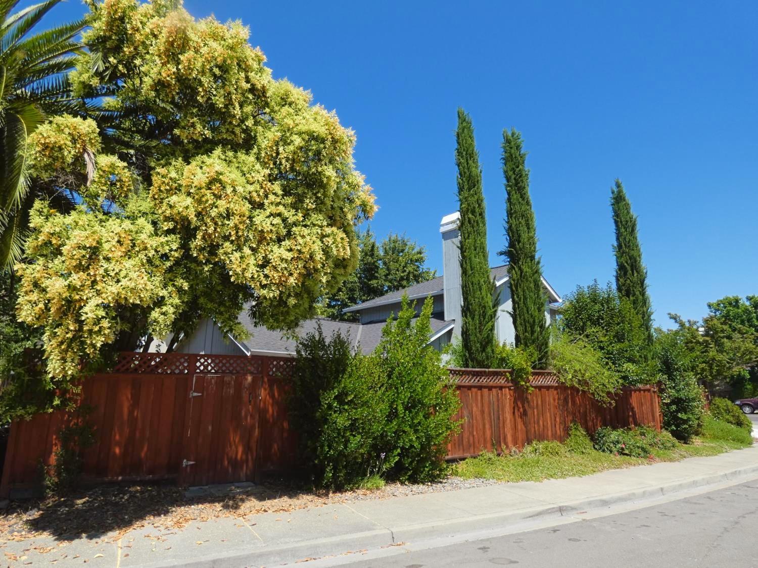 Detail Gallery Image 35 of 36 For 1960 Rheem, Pleasanton,  CA 94588 - 2 Beds | 2 Baths