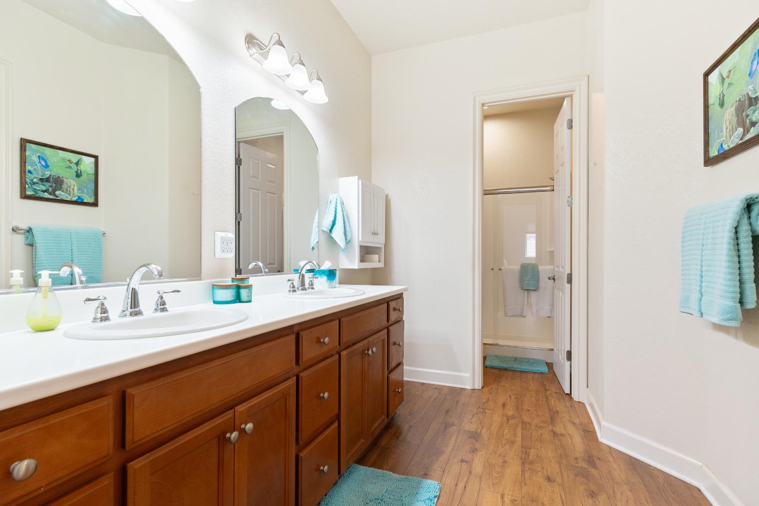 Detail Gallery Image 22 of 51 For 2431 Bird Rock Pl, Turlock,  CA 95380 - 3 Beds | 2 Baths