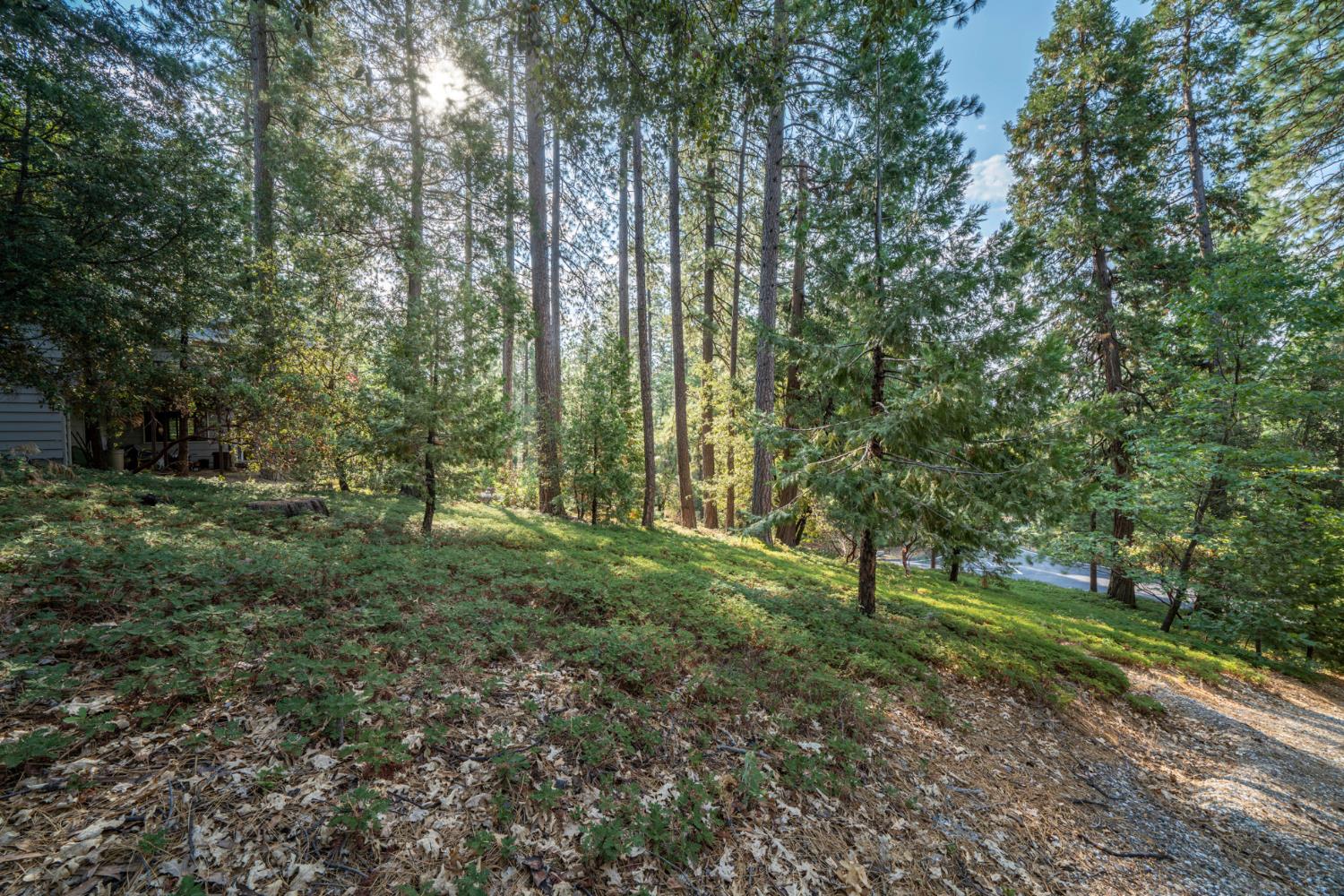 Detail Gallery Image 2 of 17 For 51 Canterwood Ln, Murphys,  CA 95247 - – Beds | – Baths