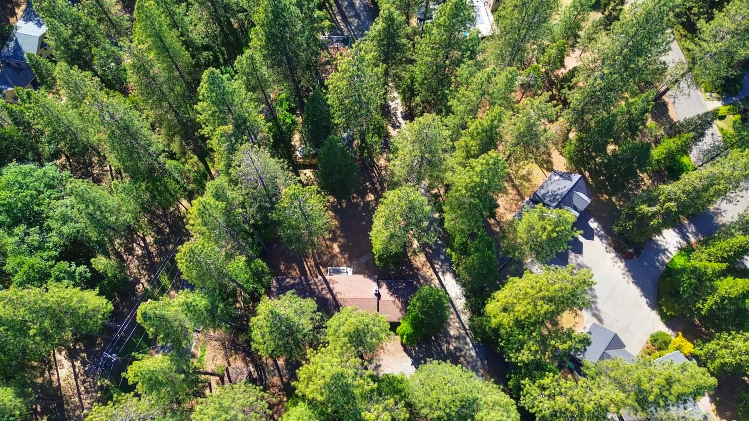 Detail Gallery Image 63 of 89 For 11118 Banner Lava Cap Rd, Nevada City,  CA 95959 - 3 Beds | 2 Baths