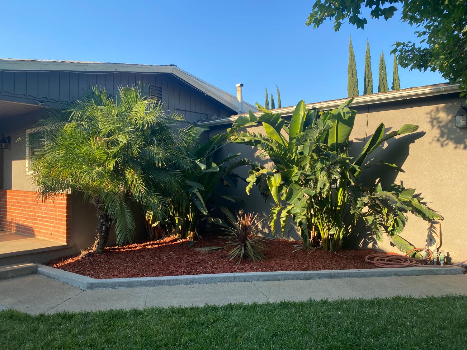 Detail Gallery Image 6 of 50 For 196 Vista Del Rio St, Gridley,  CA 95948 - 3 Beds | 2 Baths