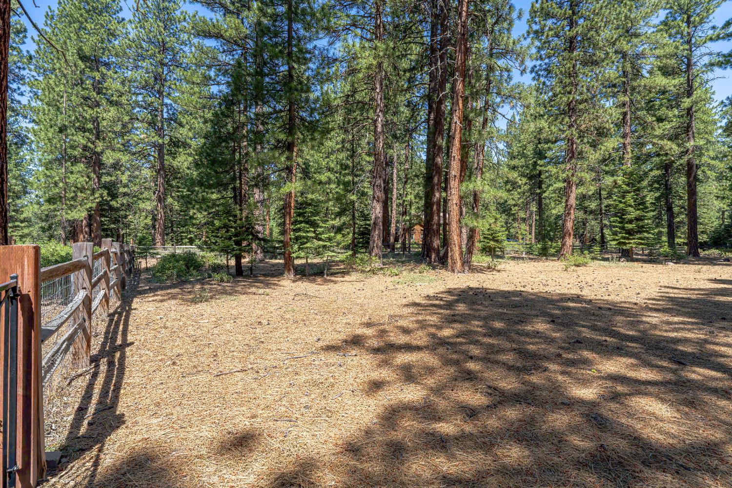 Detail Gallery Image 8 of 47 For 10854 Royal Crest Dr, Truckee,  CA 96161 - 2 Beds | 1/1 Baths