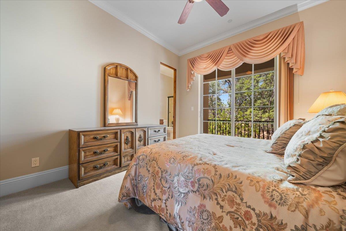 Detail Gallery Image 52 of 67 For 23750 Hogan Rd, Auburn,  CA 95602 - 4 Beds | 3/1 Baths