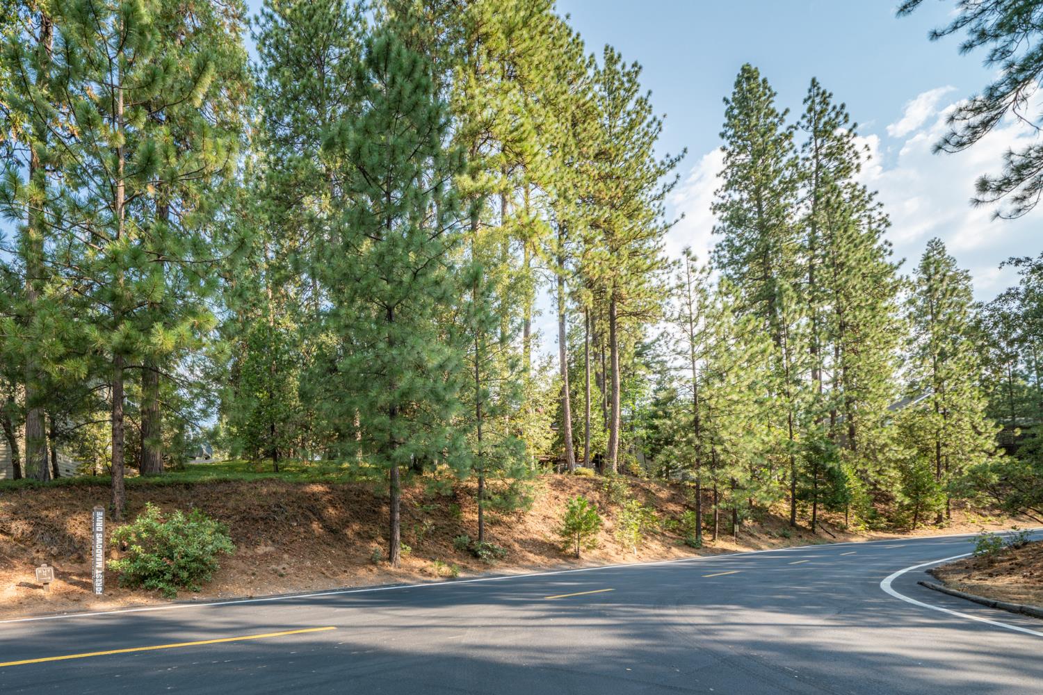 Detail Gallery Image 1 of 17 For 51 Canterwood Ln, Murphys,  CA 95247 - – Beds | – Baths