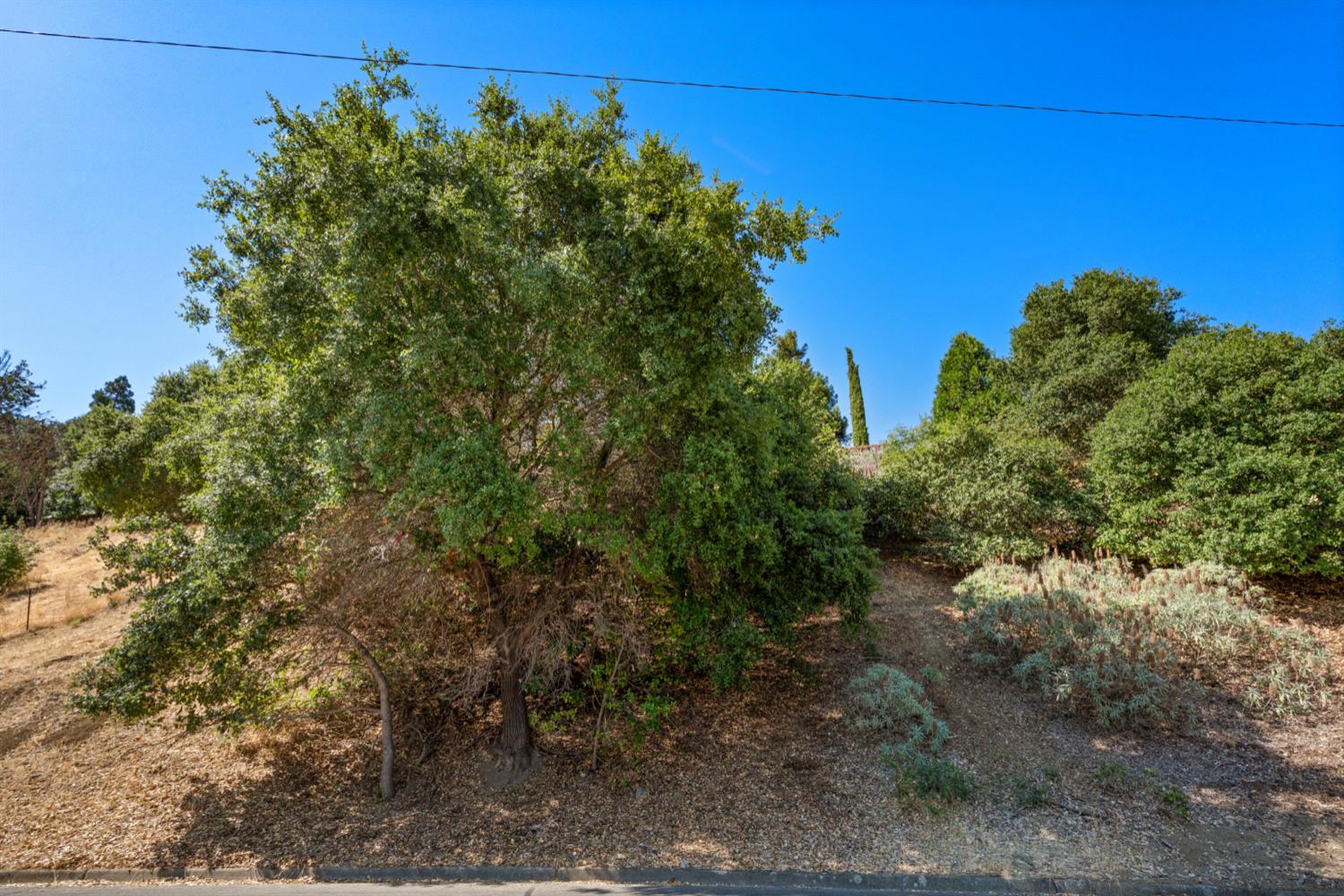Detail Gallery Image 33 of 33 For 0 Rolph Park Dr, Crockett,  CA 94525 - – Beds | – Baths