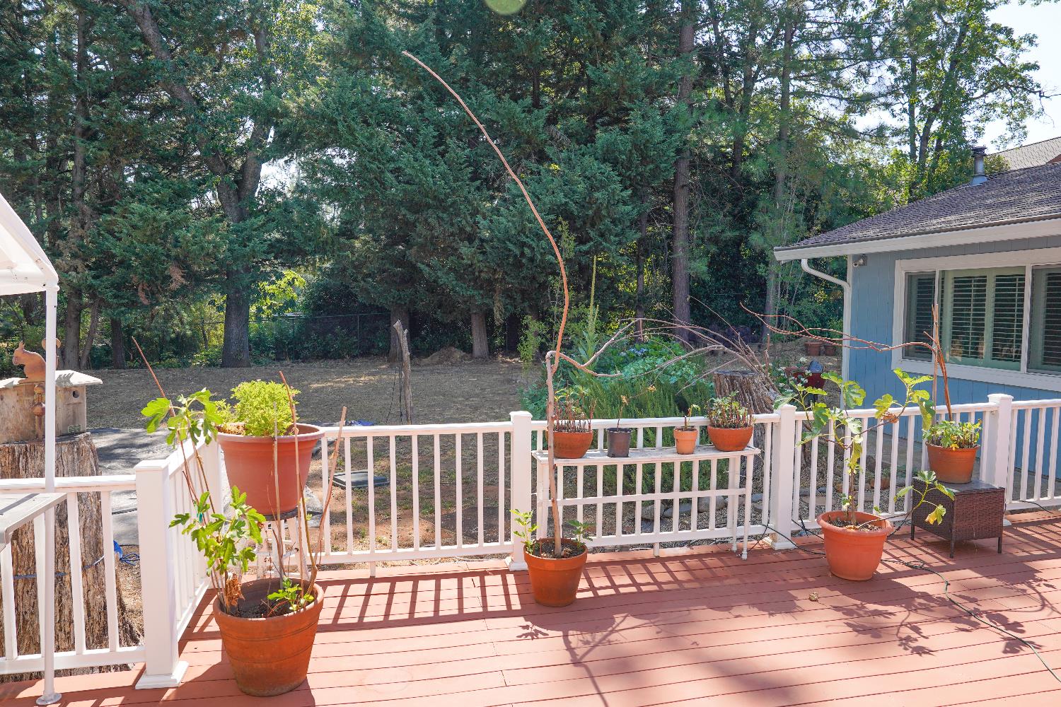 Detail Gallery Image 40 of 78 For 16939 Norlene Way, Grass Valley,  CA 95949 - 3 Beds | 2/1 Baths