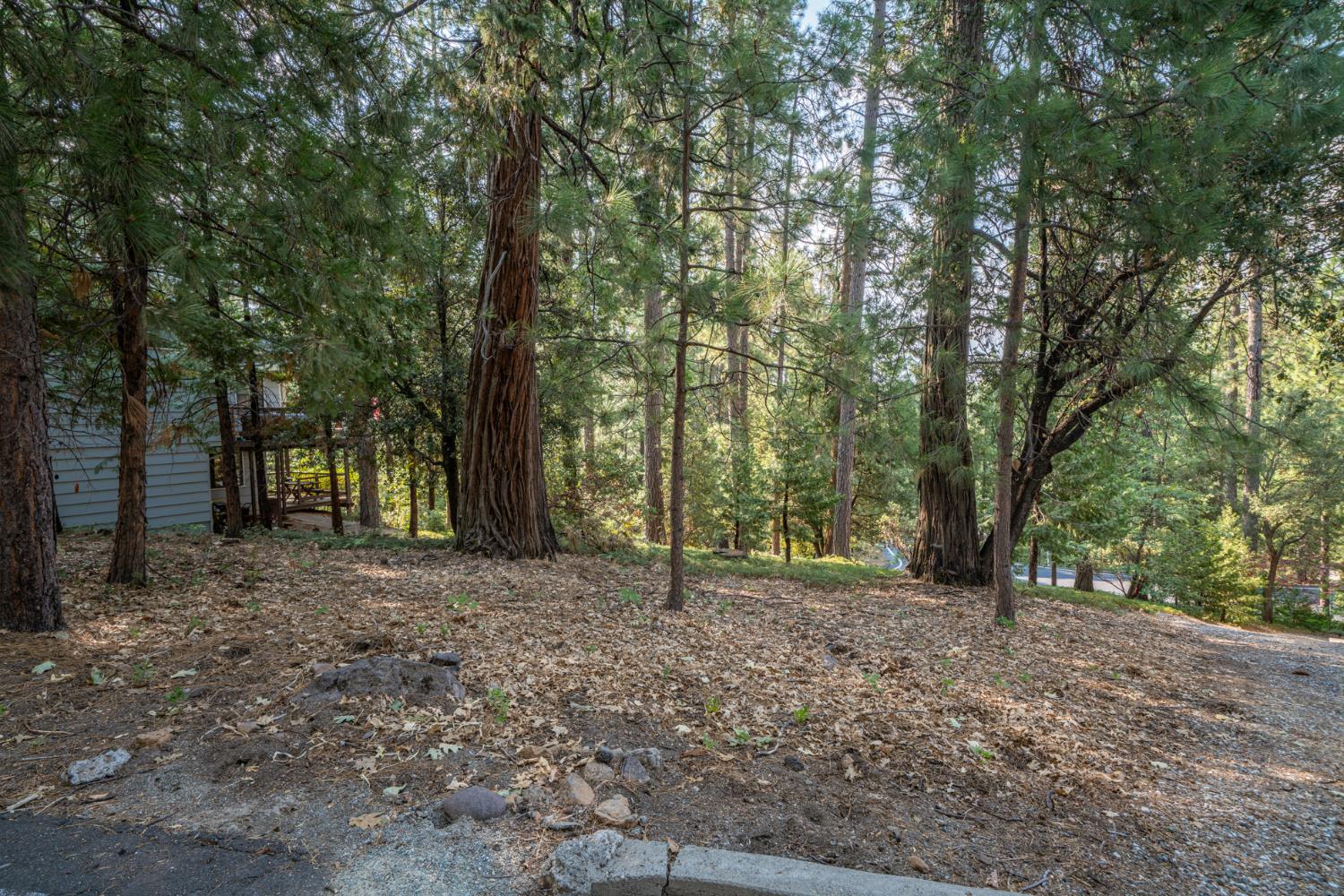 Detail Gallery Image 5 of 17 For 51 Canterwood Ln, Murphys,  CA 95247 - – Beds | – Baths