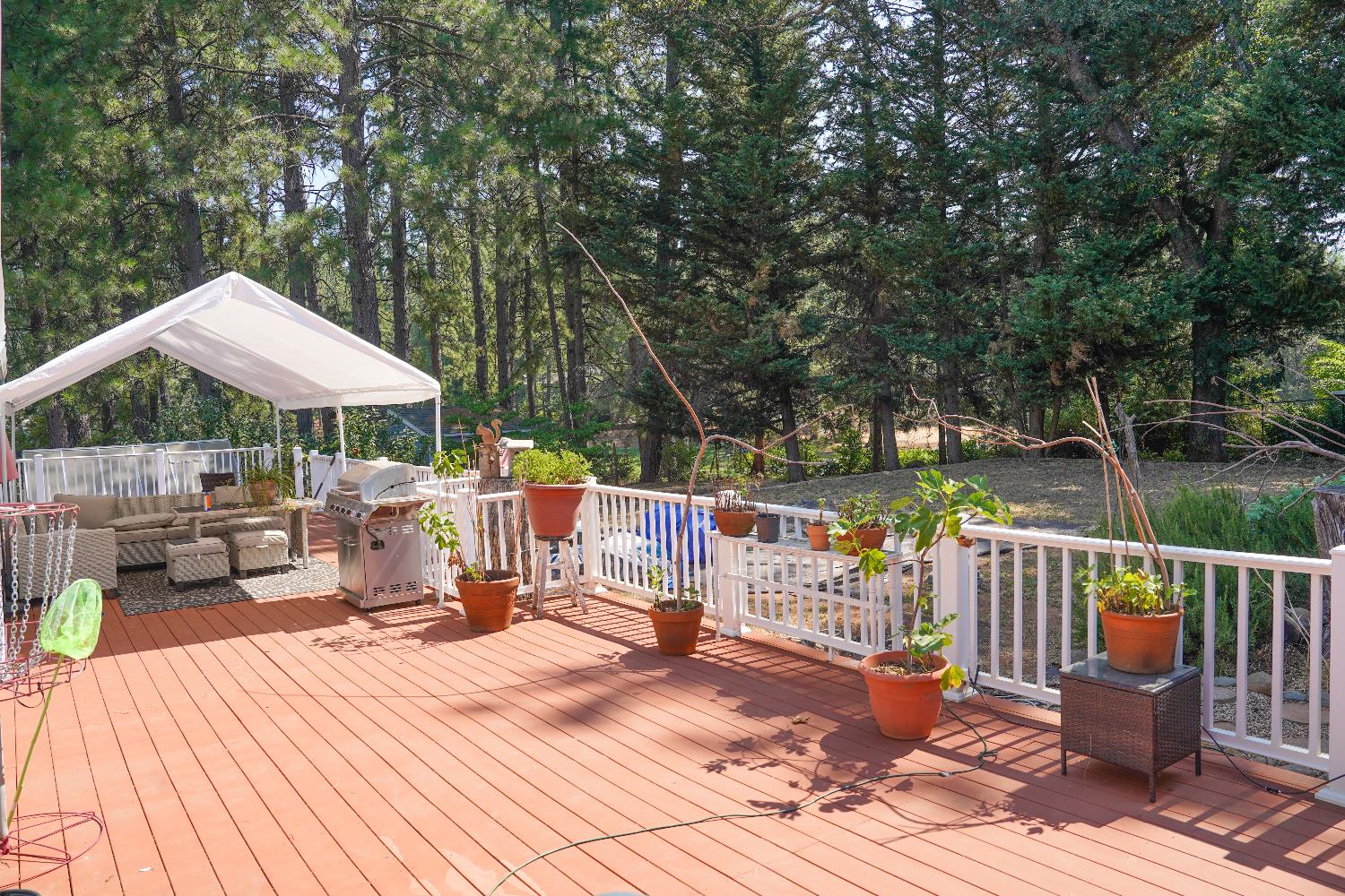 Detail Gallery Image 41 of 78 For 16939 Norlene Way, Grass Valley,  CA 95949 - 3 Beds | 2/1 Baths