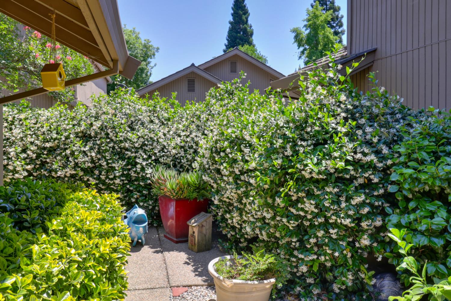 Detail Gallery Image 81 of 99 For 1911 Discovery Village Ln, Gold River,  CA 95670 - 2 Beds | 2 Baths