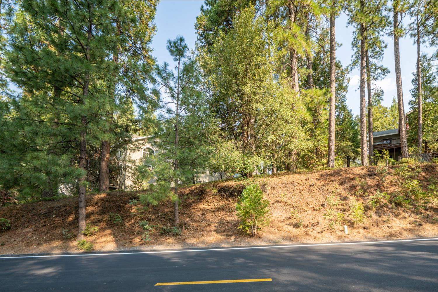 Detail Gallery Image 6 of 17 For 51 Canterwood Ln, Murphys,  CA 95247 - – Beds | – Baths