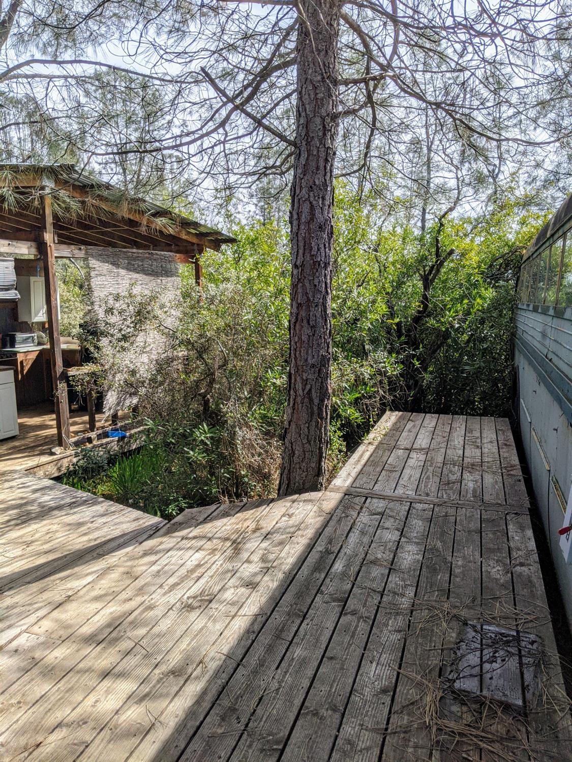 Detail Gallery Image 26 of 27 For 2080 Daffodil, Georgetown,  CA 95634 - – Beds | – Baths
