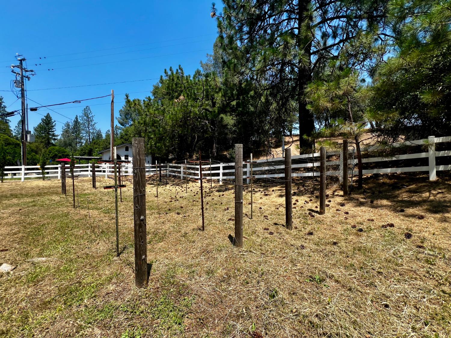 Detail Gallery Image 51 of 64 For 2018 Whistler Way, Somerset,  CA 95684 - 3 Beds | 2 Baths