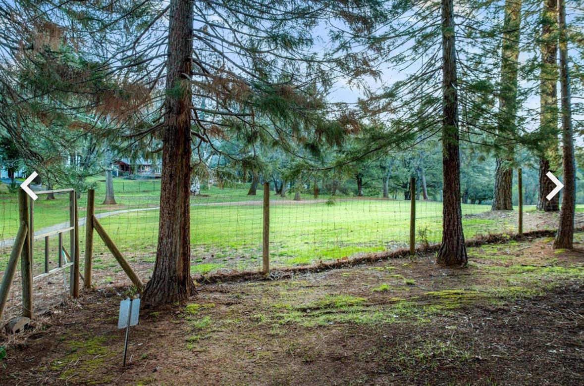 Detail Gallery Image 78 of 78 For 16939 Norlene Way, Grass Valley,  CA 95949 - 3 Beds | 2/1 Baths