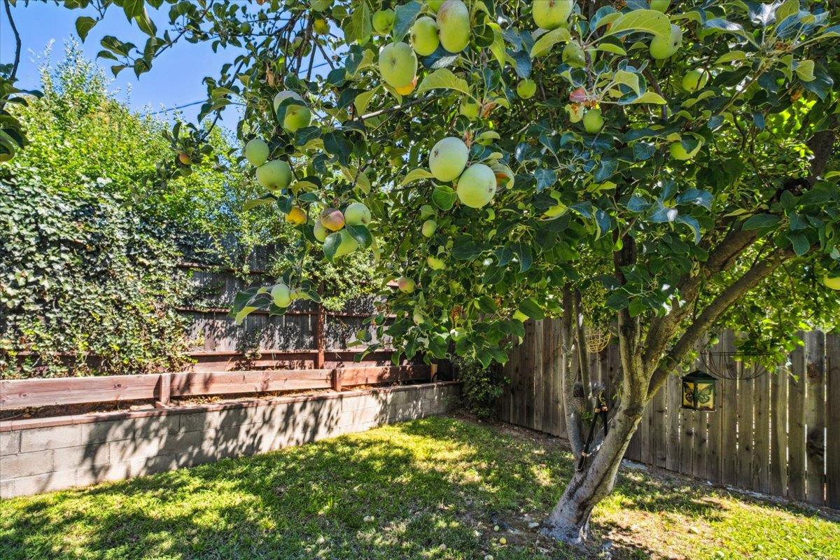 Detail Gallery Image 25 of 28 For 6609 Medora Dr, North Highlands,  CA 95660 - 3 Beds | 1/1 Baths