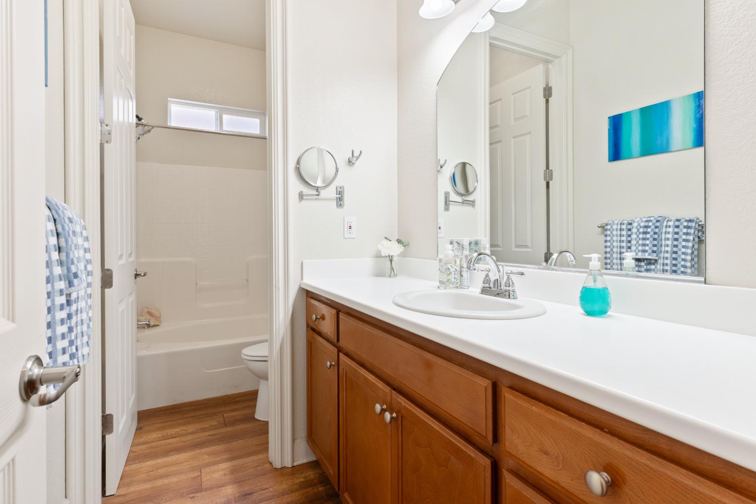 Detail Gallery Image 30 of 51 For 2431 Bird Rock Pl, Turlock,  CA 95380 - 3 Beds | 2 Baths