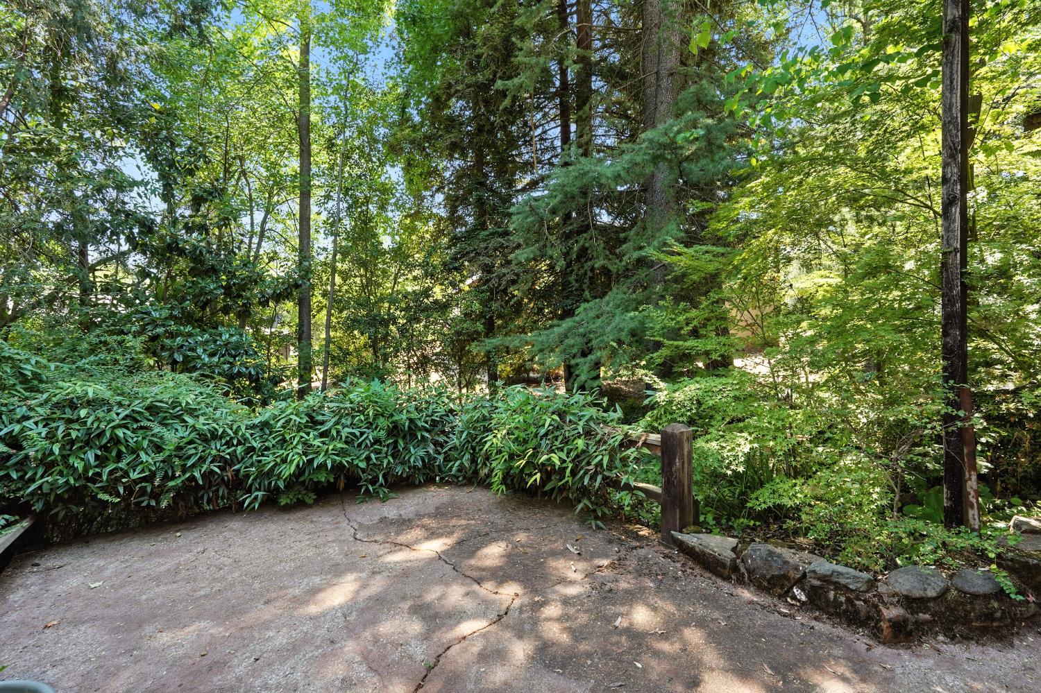 Detail Gallery Image 30 of 36 For 440 Foresthill Ave, Auburn,  CA 95603 - 3 Beds | 1 Baths