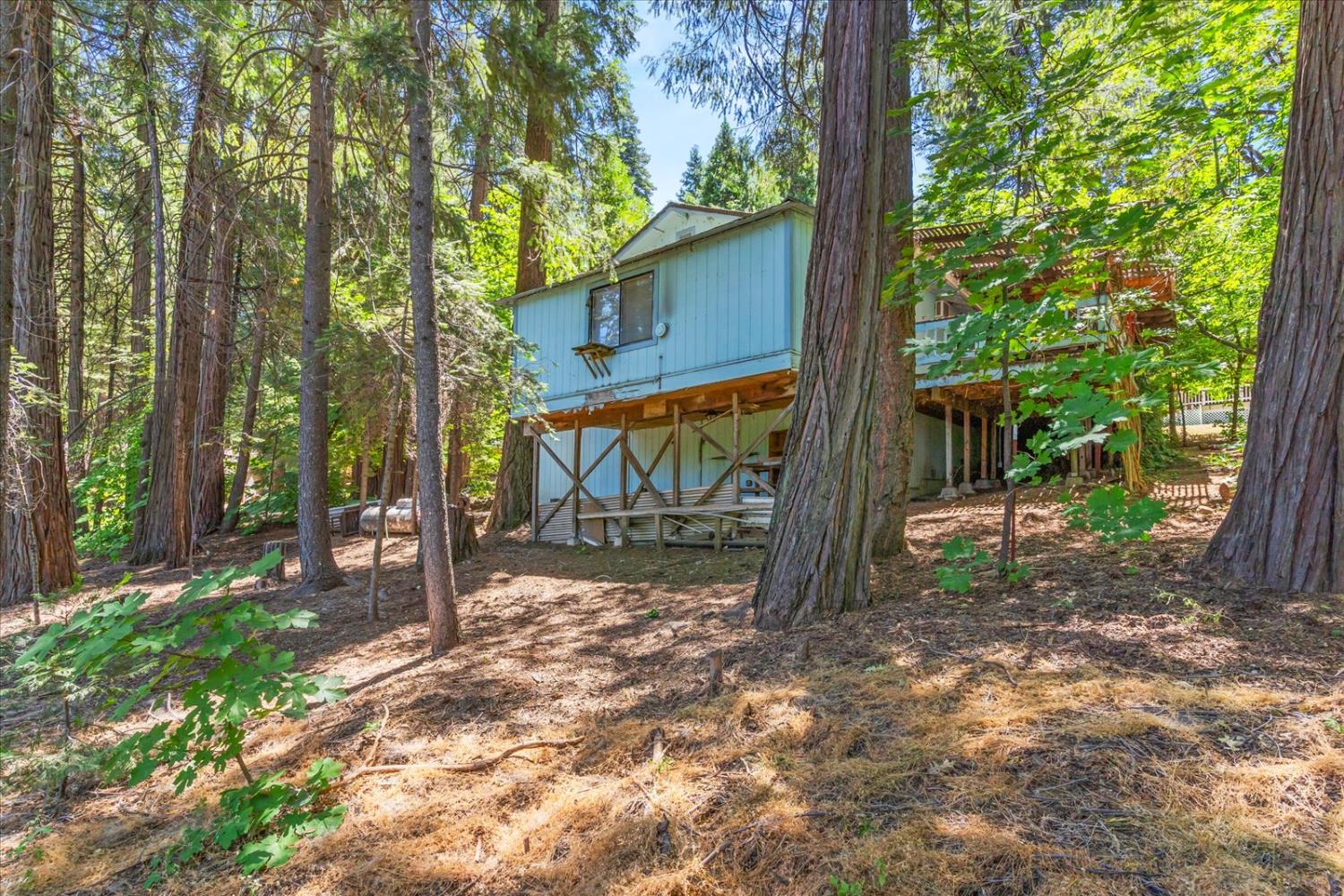 Detail Gallery Image 58 of 58 For 3205 Castlewood Cir, Pollock Pines,  CA 95726 - 3 Beds | 2 Baths
