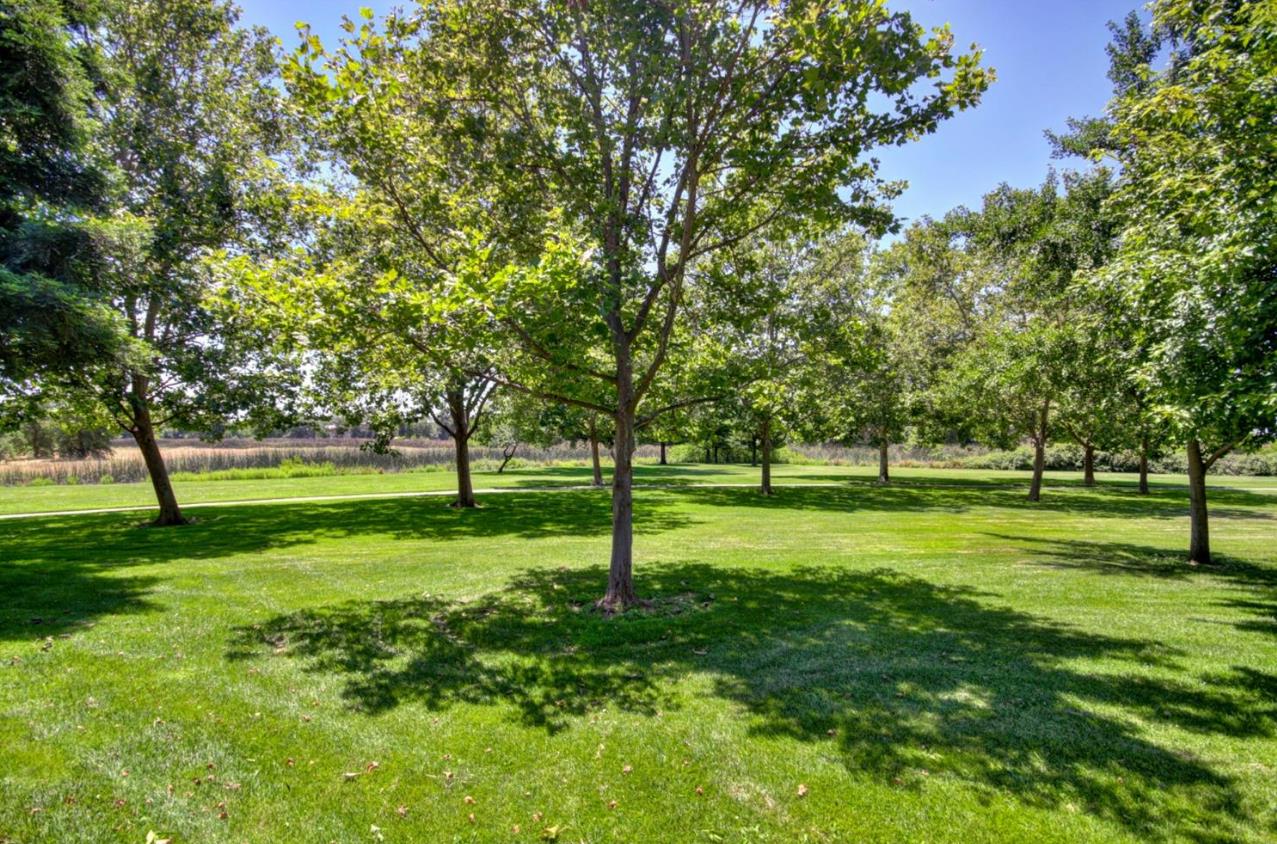 Detail Gallery Image 67 of 74 For 8931 Springhurst Dr, Elk Grove,  CA 95624 - 4 Beds | 3 Baths