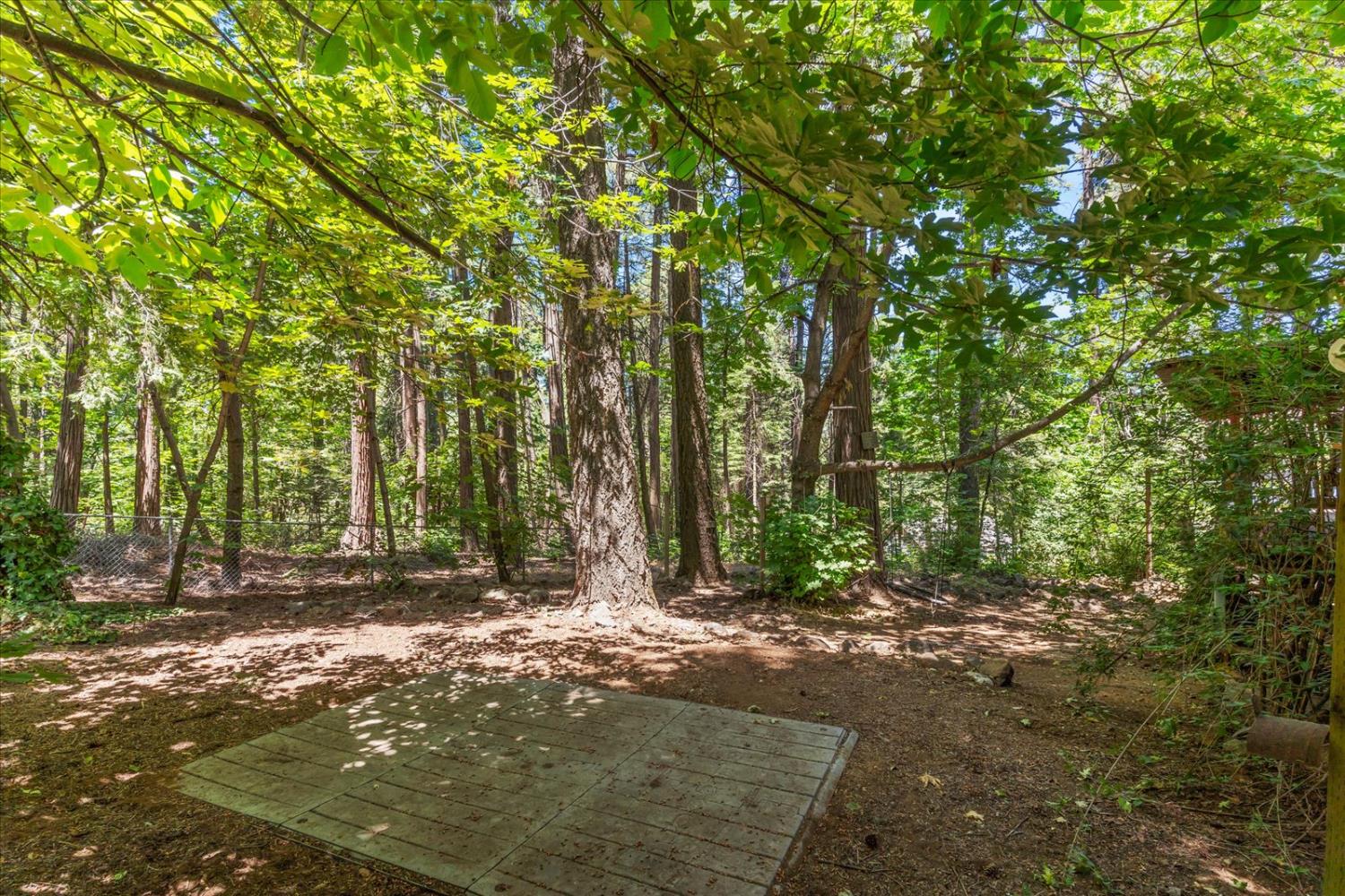 Detail Gallery Image 55 of 58 For 3205 Castlewood Cir, Pollock Pines,  CA 95726 - 3 Beds | 2 Baths