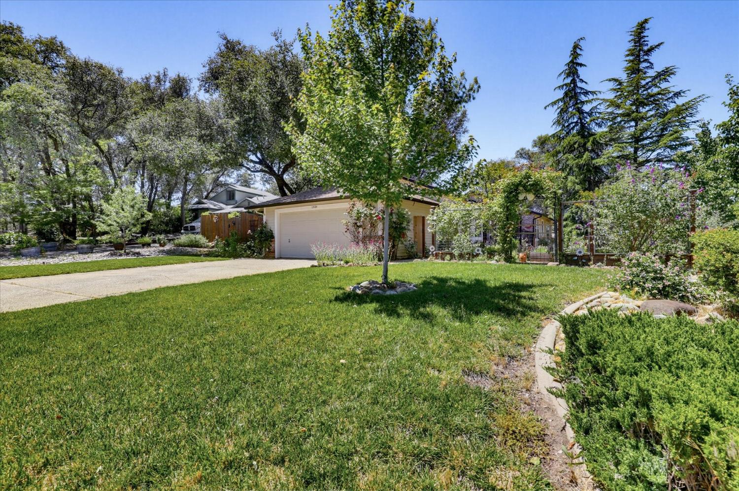 11524 Sherwood Way